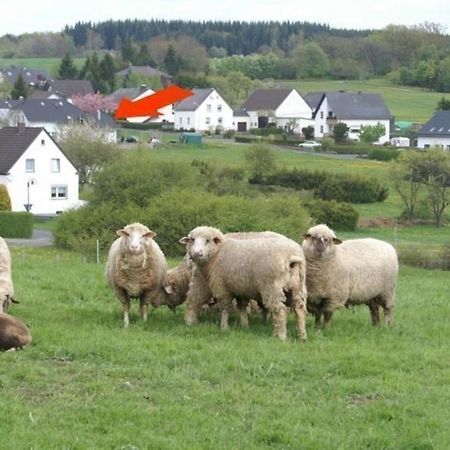 Gemuetliche Maisonette Wohnung Seelenblick Berndorf  Exteriör bild