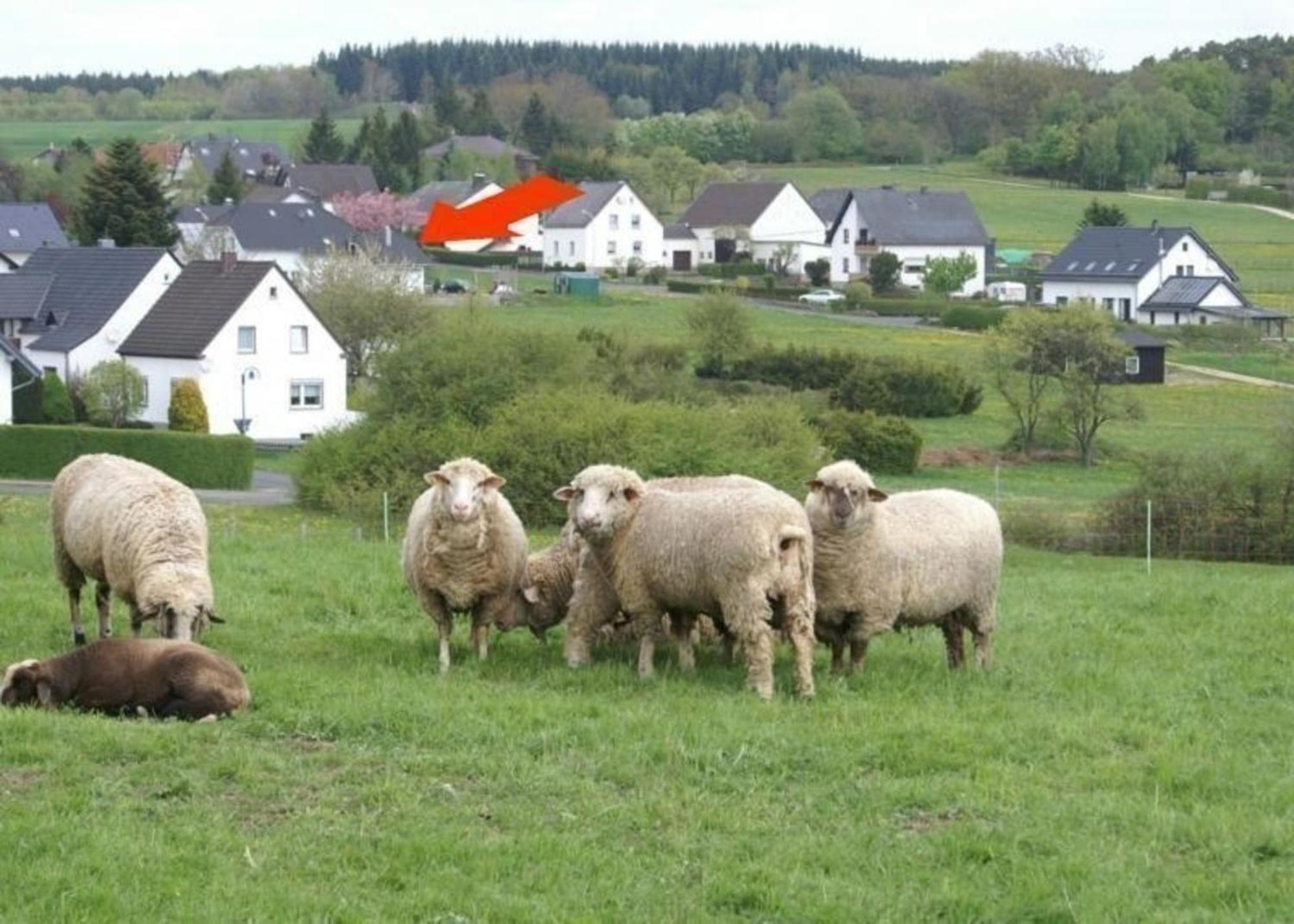 Gemuetliche Maisonette Wohnung Seelenblick Berndorf  Exteriör bild